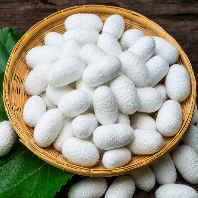 Butterfly Silk of Copenhagen Luxury Silkkipeitto 140 x 200 cm 1000g medium