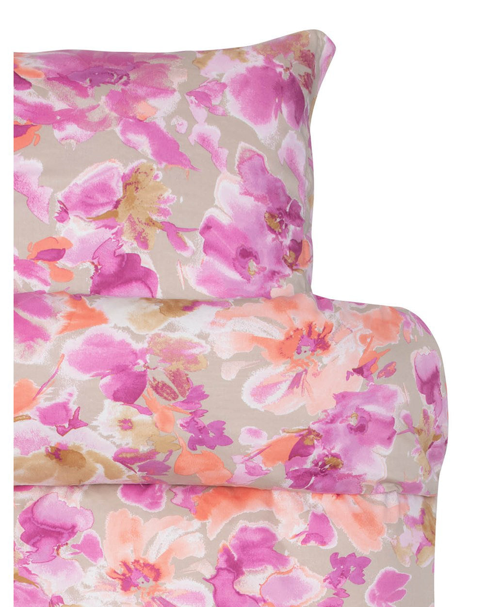 Hoie Patrizia Pussilakanasetti, Rosa