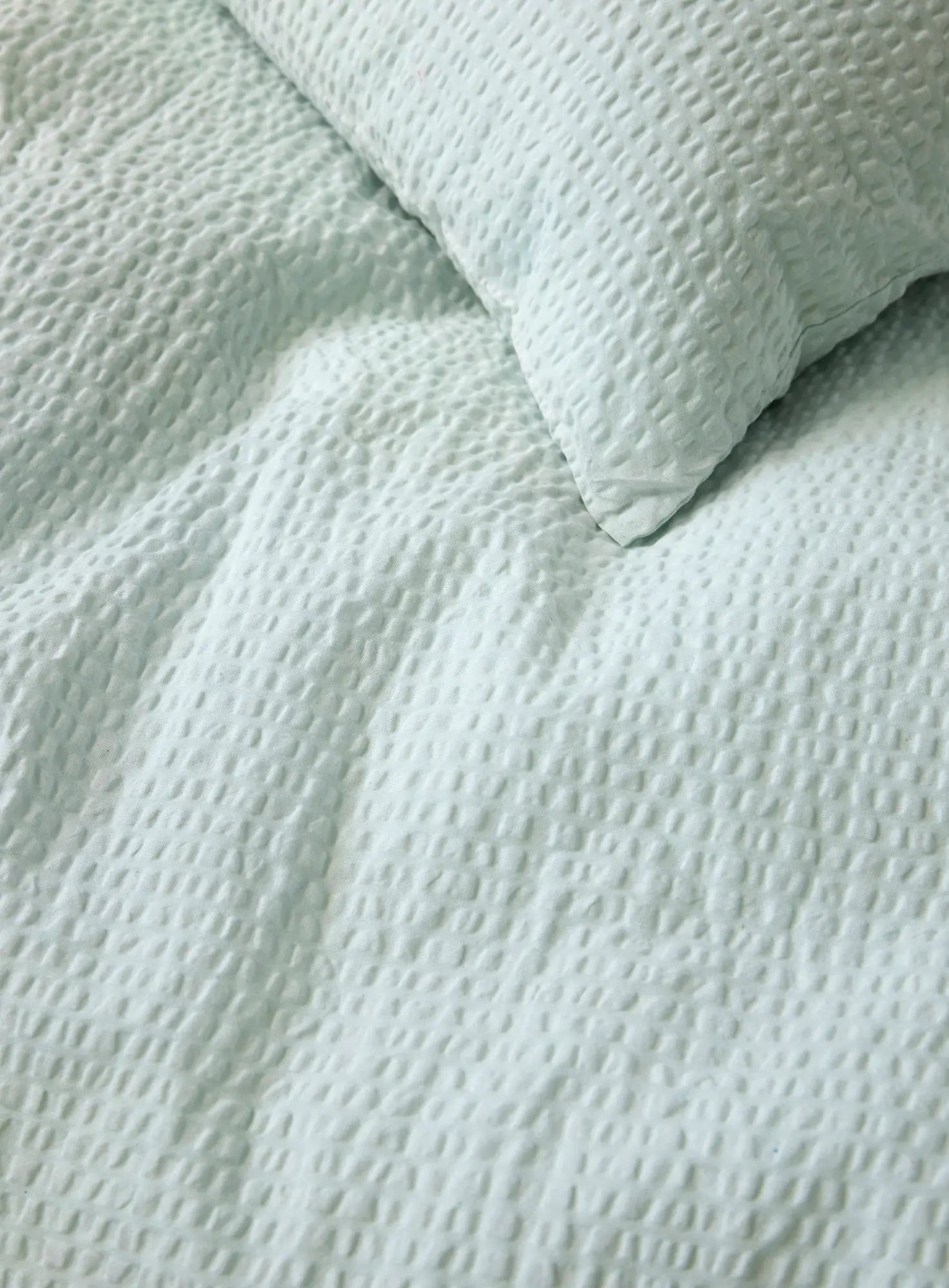 Hoie Sanna Pussilakanasetti, Turkoosi