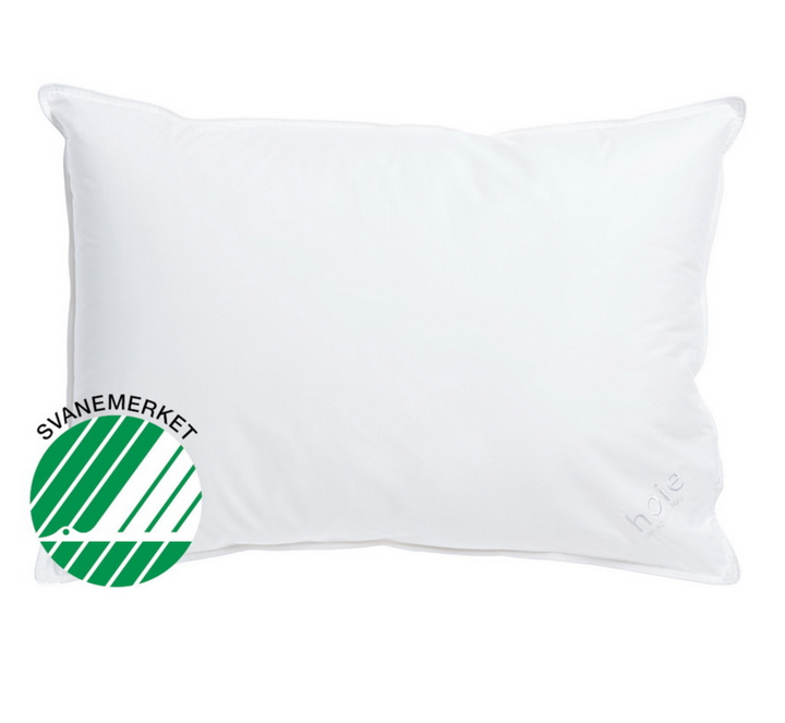 Hoie Enviro tyyny 50x60 cm 500g